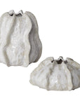 Uttermost Urchin Textured Ivory Vases, 2-Piece Set