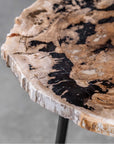 Uttermost Mircea Petrified Wood Accent Table