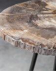 Uttermost Mircea Petrified Wood Accent Table