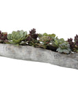 Uttermost Charita Lush Succulents