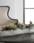 Uttermost Charita Lush Succulents