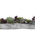 Uttermost Charita Lush Succulents
