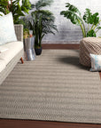Jaipur Altitude Saeler Stripes Textured Gray ALD01 Rug