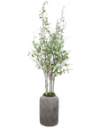 Uttermost Aldis Potted River Birch