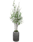Uttermost Aldis Potted River Birch
