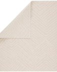 Jaipur Fresno Linet Chevron Geometric Cream FSN06 Rug