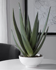 Uttermost Evarado Aloe Planter
