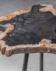 Uttermost Mircea Petrified Wood Accent Table