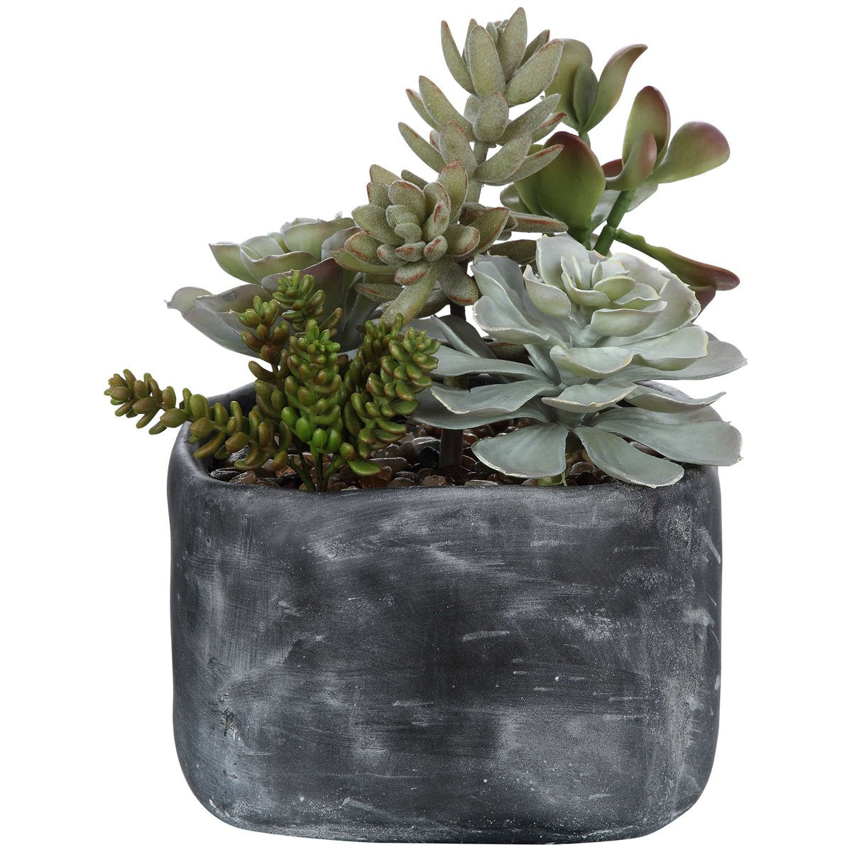 Uttermost Alverio Desert Garden Succulents
