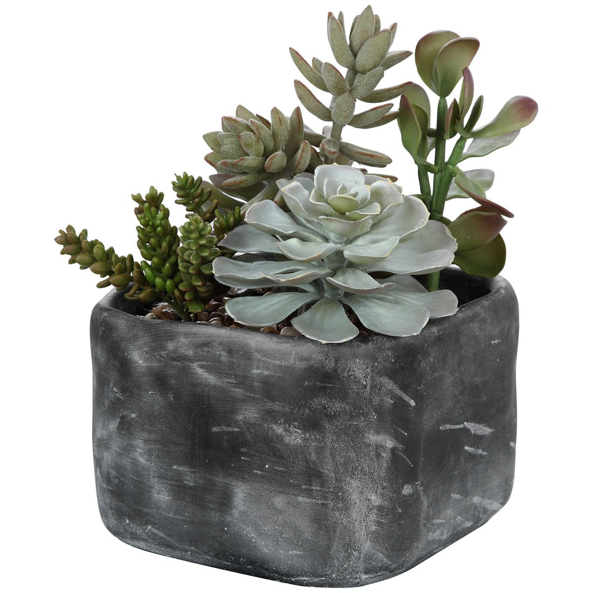 Uttermost Alverio Desert Garden Succulents