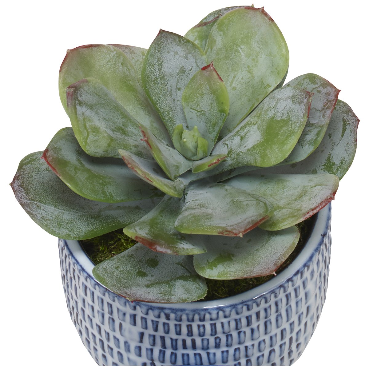 Uttermost Puebla Greenery in Blue &amp; White Pots, 3-Piece Set