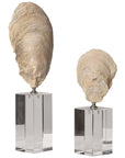 Uttermost Oyster Shell Sculptures, 2-Piece Set