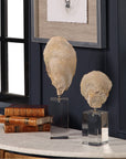 Uttermost Oyster Shell Sculptures, 2-Piece Set