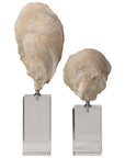 Uttermost Oyster Shell Sculptures, 2-Piece Set