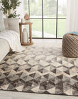 Jaipur Borderland Carrizo Geometric Chevron Gray Cream BLD03 Rug