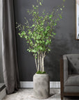 Uttermost Aldis Potted River Birch
