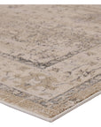 Jaipur Catalyst Fawcett Oriental Gray CTY10 Rug