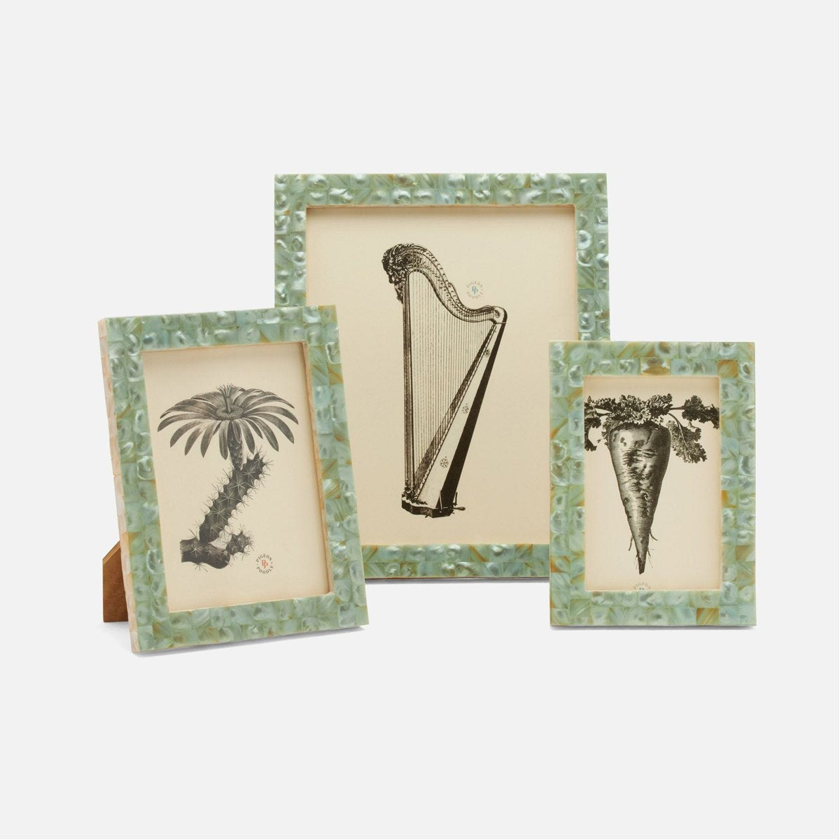 Pigeon and Poodle Safi Mint Green Frame