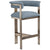 Interlude Home Darcy Counter Stool - Surf