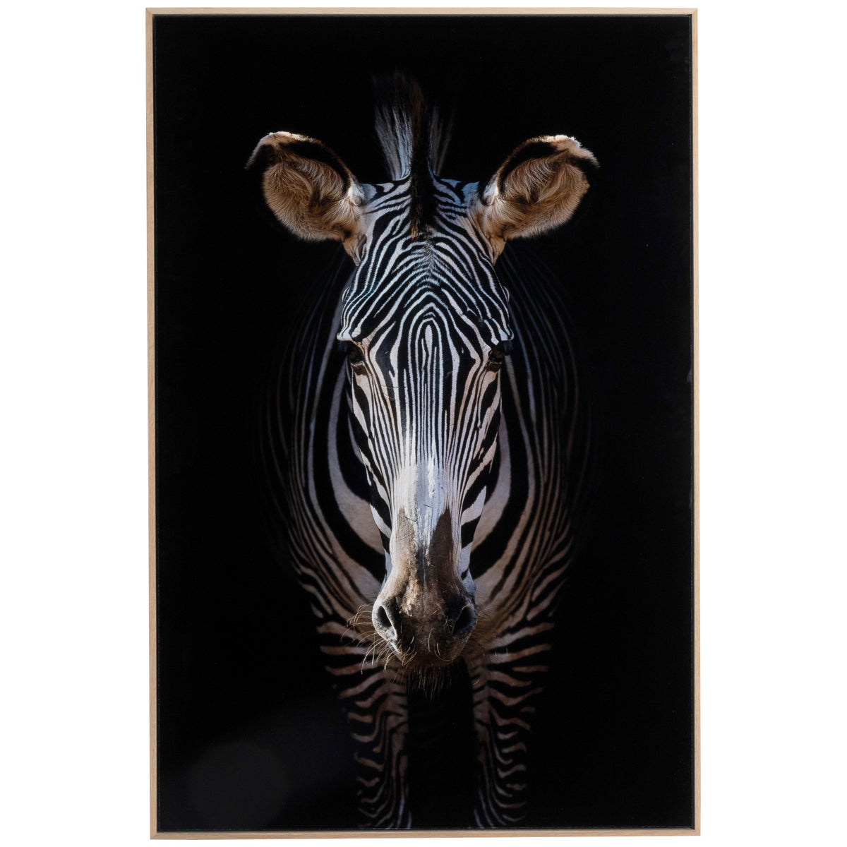 Four Hands Art Studio Zebra Stare By Getty Images
