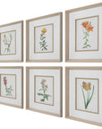 Uttermost Classic Botanicals Framed Prints, 6-Piece Set