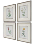 Uttermost Heirloom Blooms Study Framed Prints, 4-Piece Set
