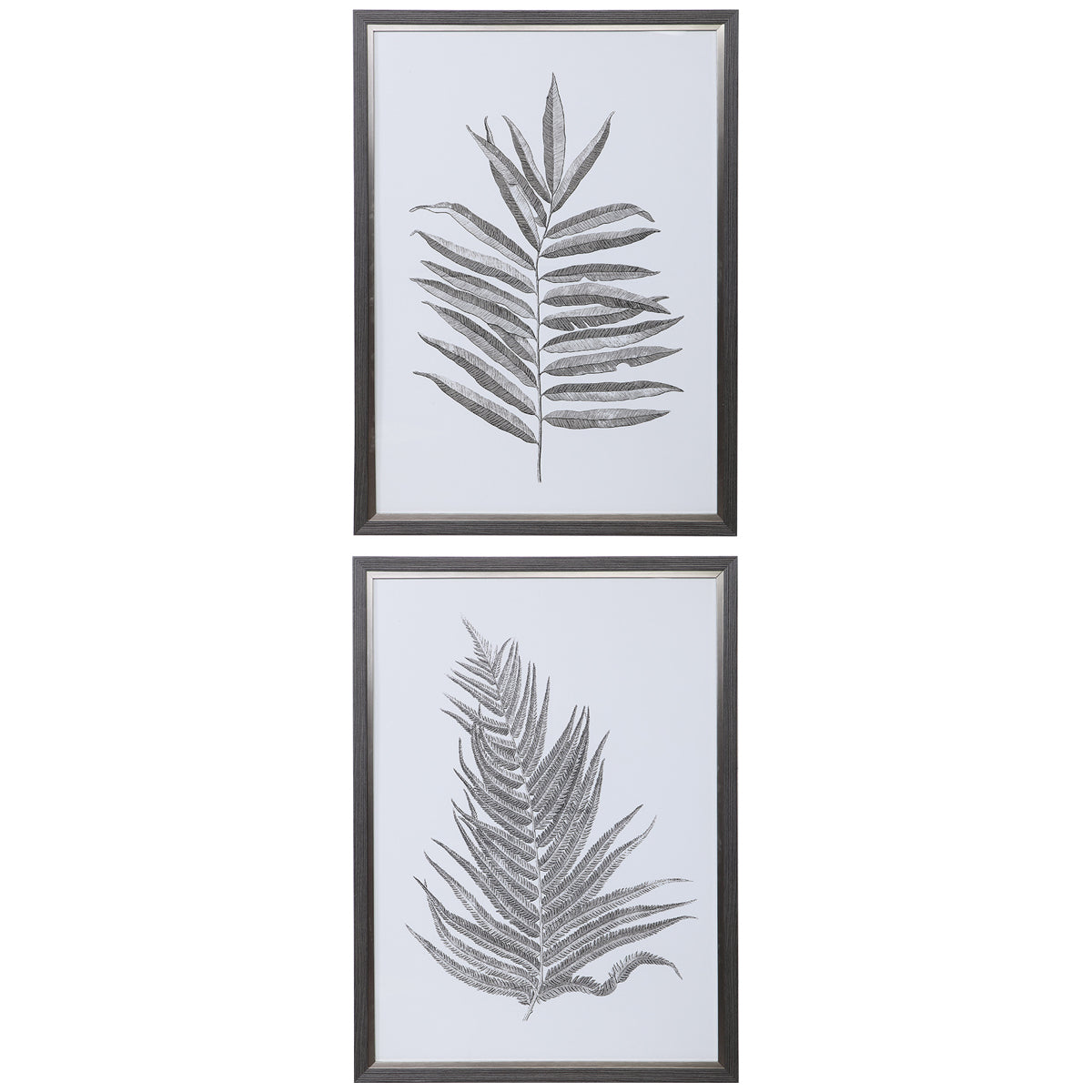Uttermost Silver Ferns Framed Prints, Set of 2