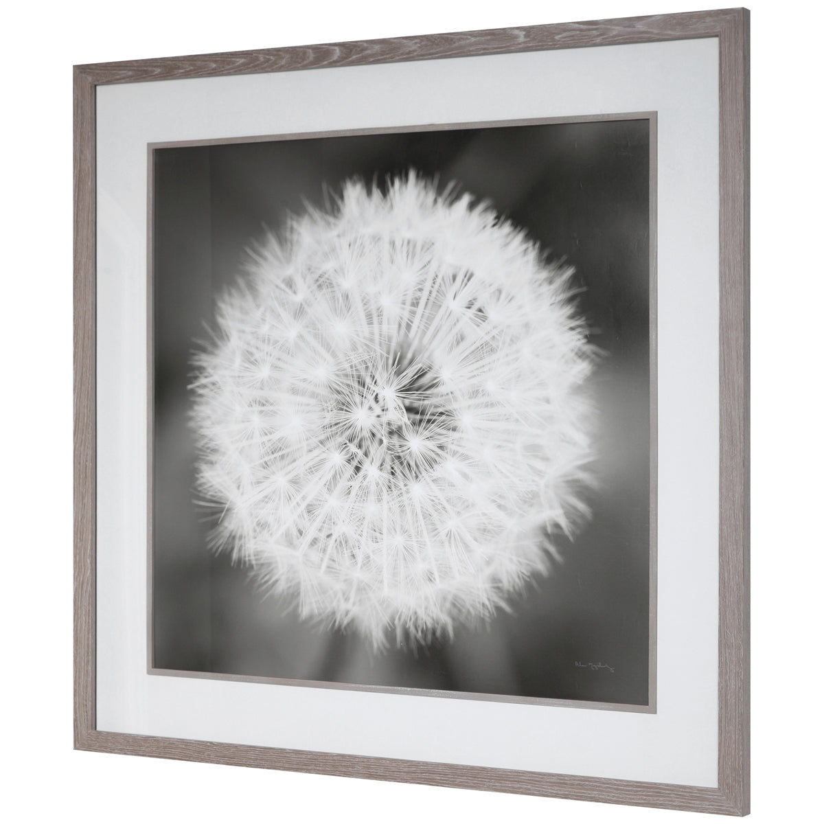 Uttermost Dandelion Seedhead Framed Print