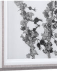 Uttermost Contemporary Botanicals Framed Prints, Set of 12