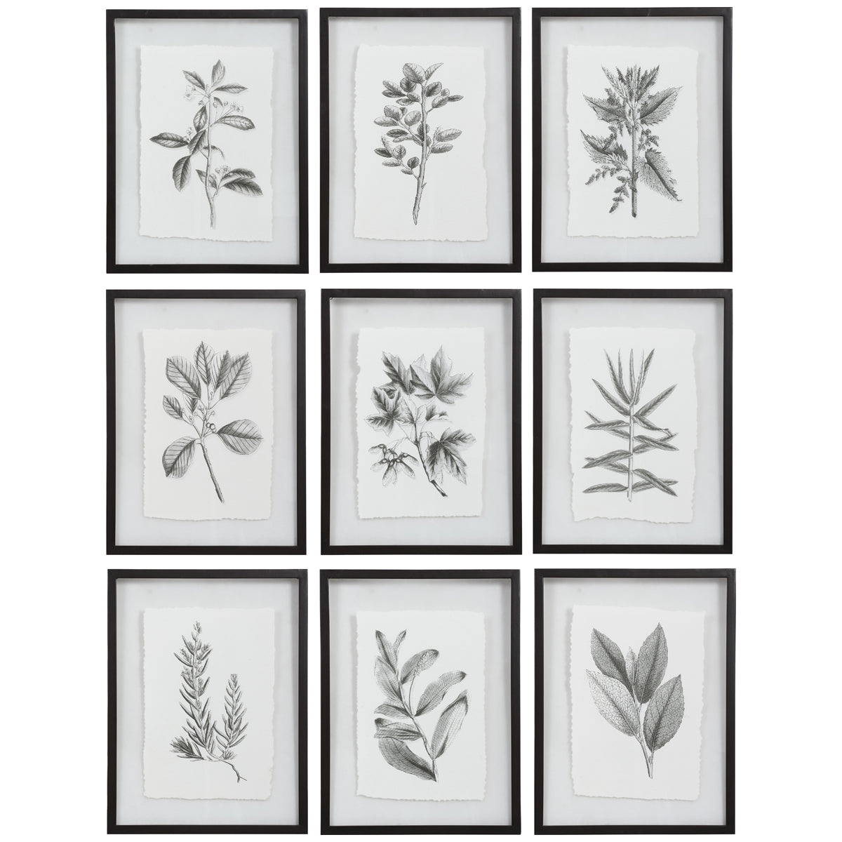 Uttermost Farmhouse Florals Framed Prints, Set of 9