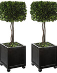 Uttermost Preserved Boxwood Square Topiaries, Set of 2