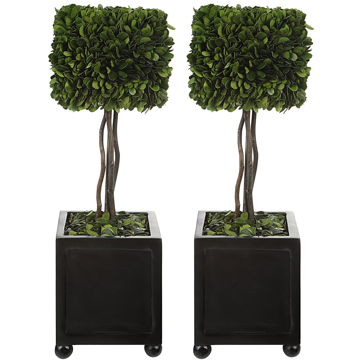 Uttermost Preserved Boxwood Square Topiaries, Set of 2