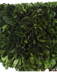 Uttermost Preserved Boxwood Rectangular Topiary