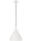 Sea Gull Lighting Oden Medium Pendant with Bulb