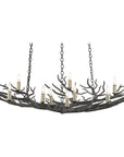 Currey and Company Rainforest Bronze Small Chandelier