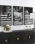 Uttermost Galloping Forward Equine Prints, 3-Piece Set