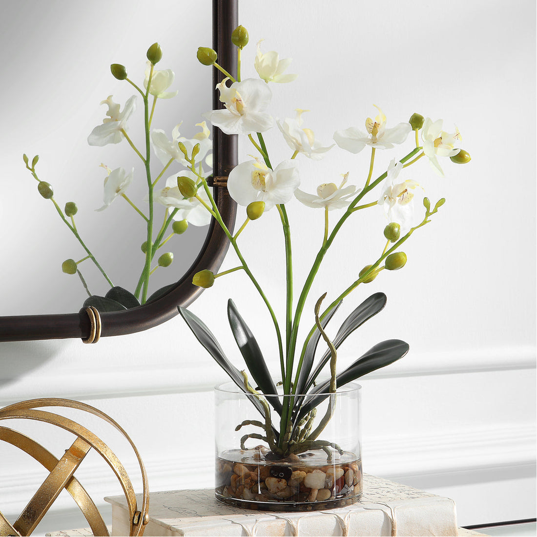 Uttermost Glory Orchid