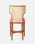 Made Goods Carleen Wingback Cane Counter Stool in Mondego Cotton Jute