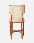 Made Goods Carleen Wingback Cane Counter Stool in Severn Canvas