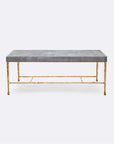 Made Goods Jovan Coffee Table in Faux Horn