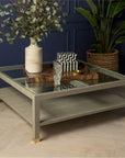 Made Goods Lafeu Square Glass Top Realistic Faux Shagreen Coffee Table