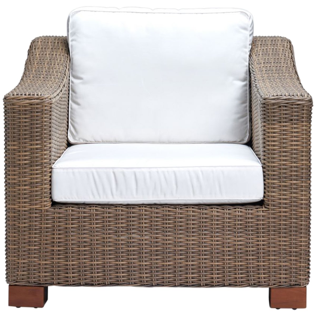 Made Goods Marina Faux Wicker Outdoor Lounge Chair in Garonne Leather