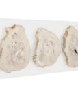 Phillips Collection Floating Petrified Triple Slice Wall Art