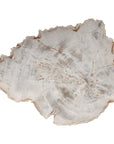 Phillips Collection Petrified Wood Plate, Assorted Color and Shape