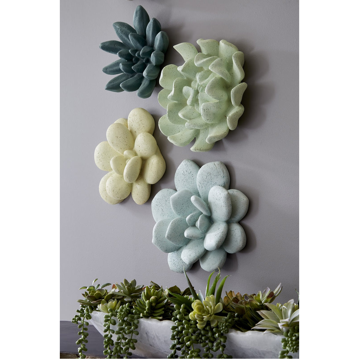 Phillips Collection Topsy Turvy Succulent Outdoor Wall Art