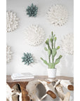 Phillips Collection Compactum Succulent Outdoor Wall Art