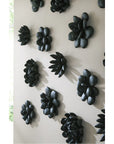 Phillips Collection Oviferum Smooth Black Succulent Wall Art