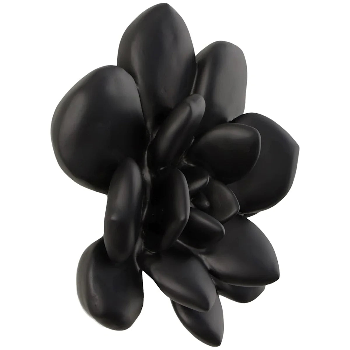 Phillips Collection Laui Smooth Black Succulent Wall Art
