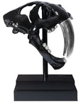Phillips Collection Saber Tooth Tiger Skull Sculpture
