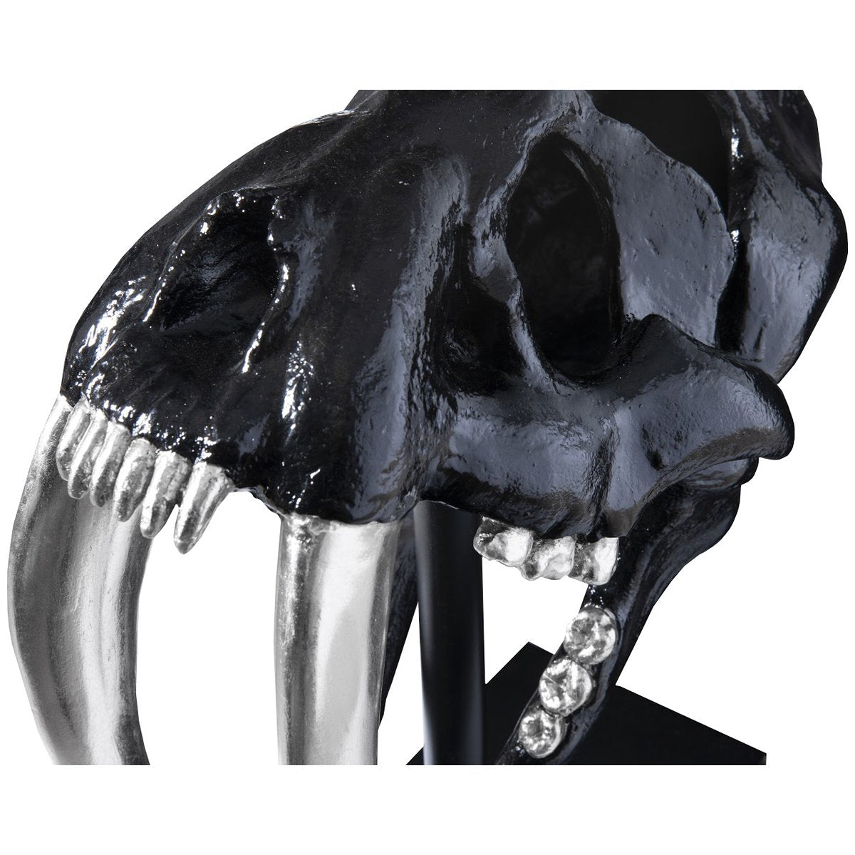 Phillips Collection Saber Tooth Tiger Skull Sculpture